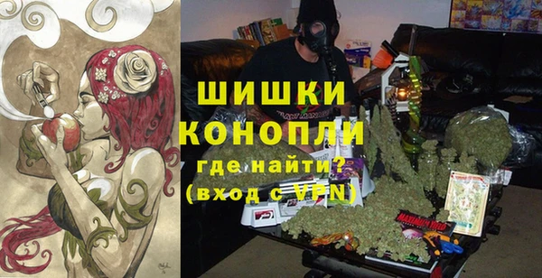 spice Новозыбков