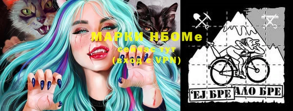 spice Новозыбков