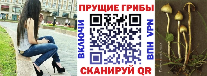 Псилоцибиновые грибы мицелий купить наркотик OMG онион Лихославль