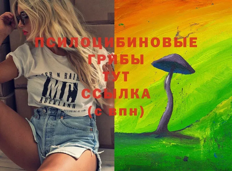 hydra ONION  Лихославль  Псилоцибиновые грибы мицелий 